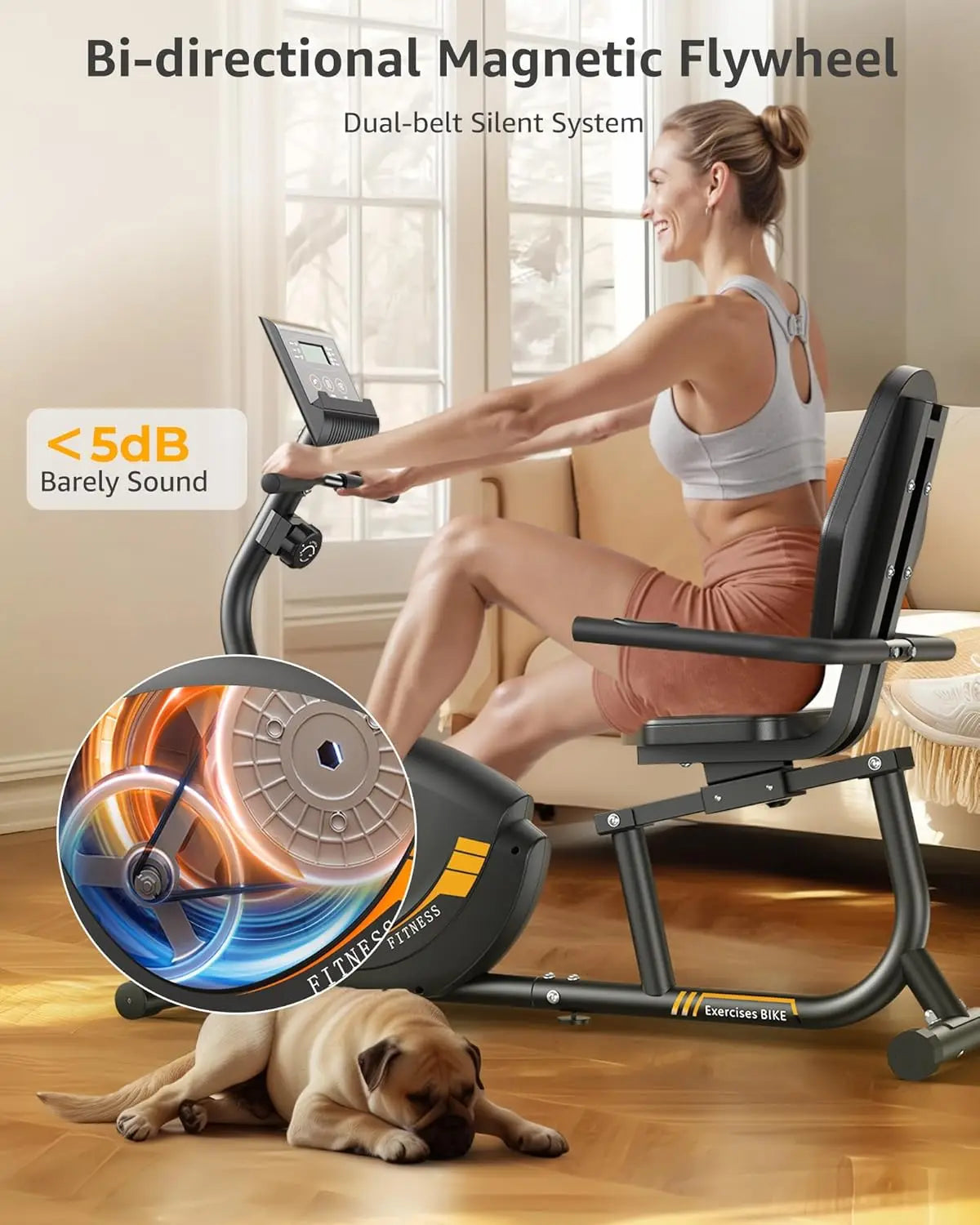 Recumbent Exercise Bike for Adults Seniors