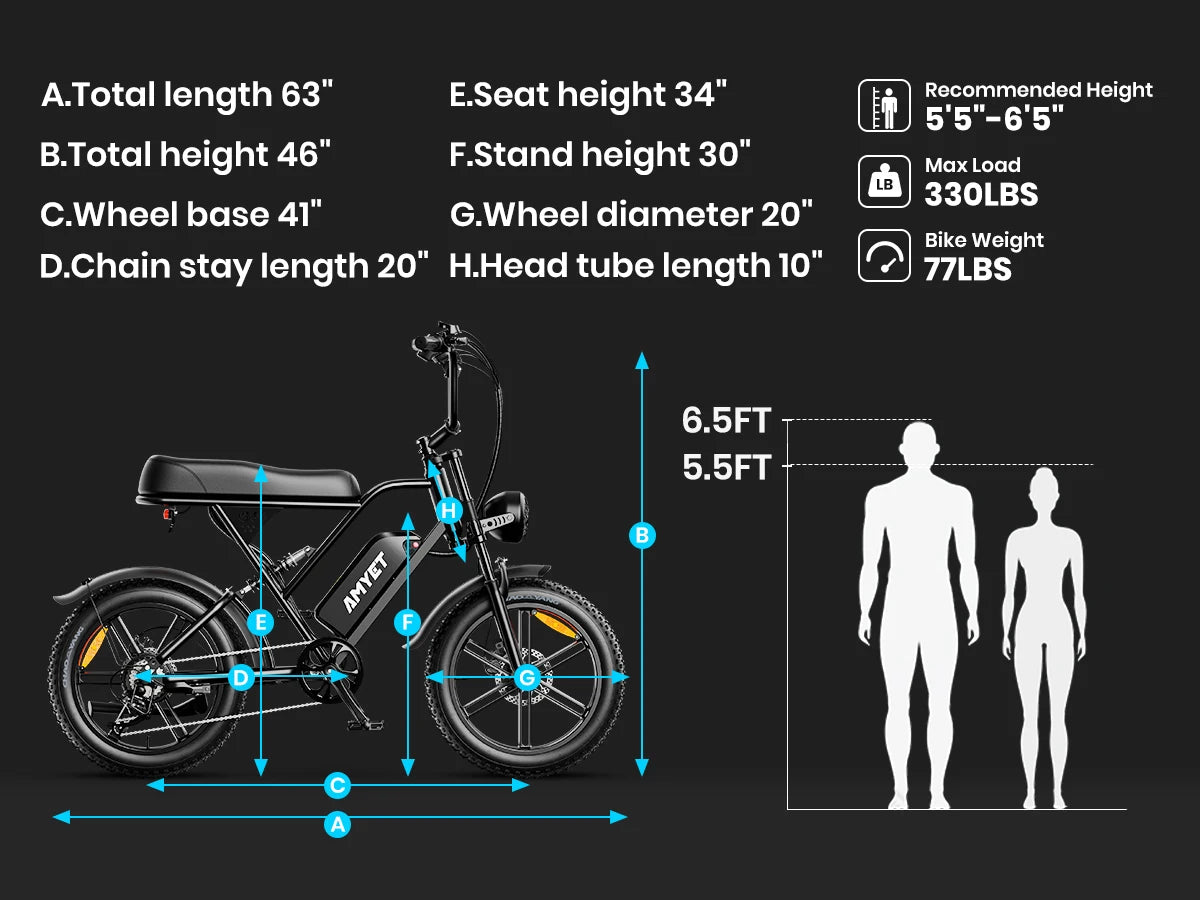 Adults Electric Bike 1000W Motor Bicycle 48V 20AH 20 Inch Tire